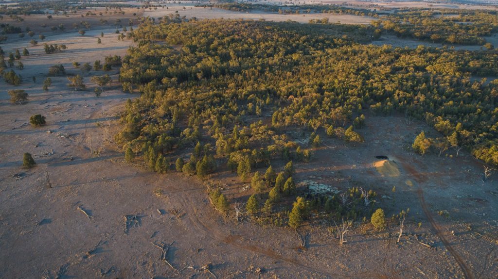 dubbo rare earths