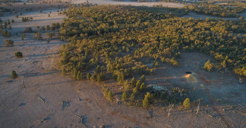 dubbo rare earths