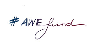 AWE fund