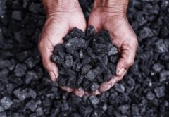 Wilkie coal