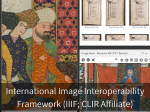 International Image Interoperability Framework (IIIF; CLIR Affiliate). Background image: snapshot from Mirador viewer.